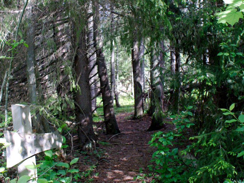 People – Place Bond: Mallusjoki and the bond between people and&nbsp;place